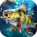 脱粪 v7.99.9 官方最新版 3